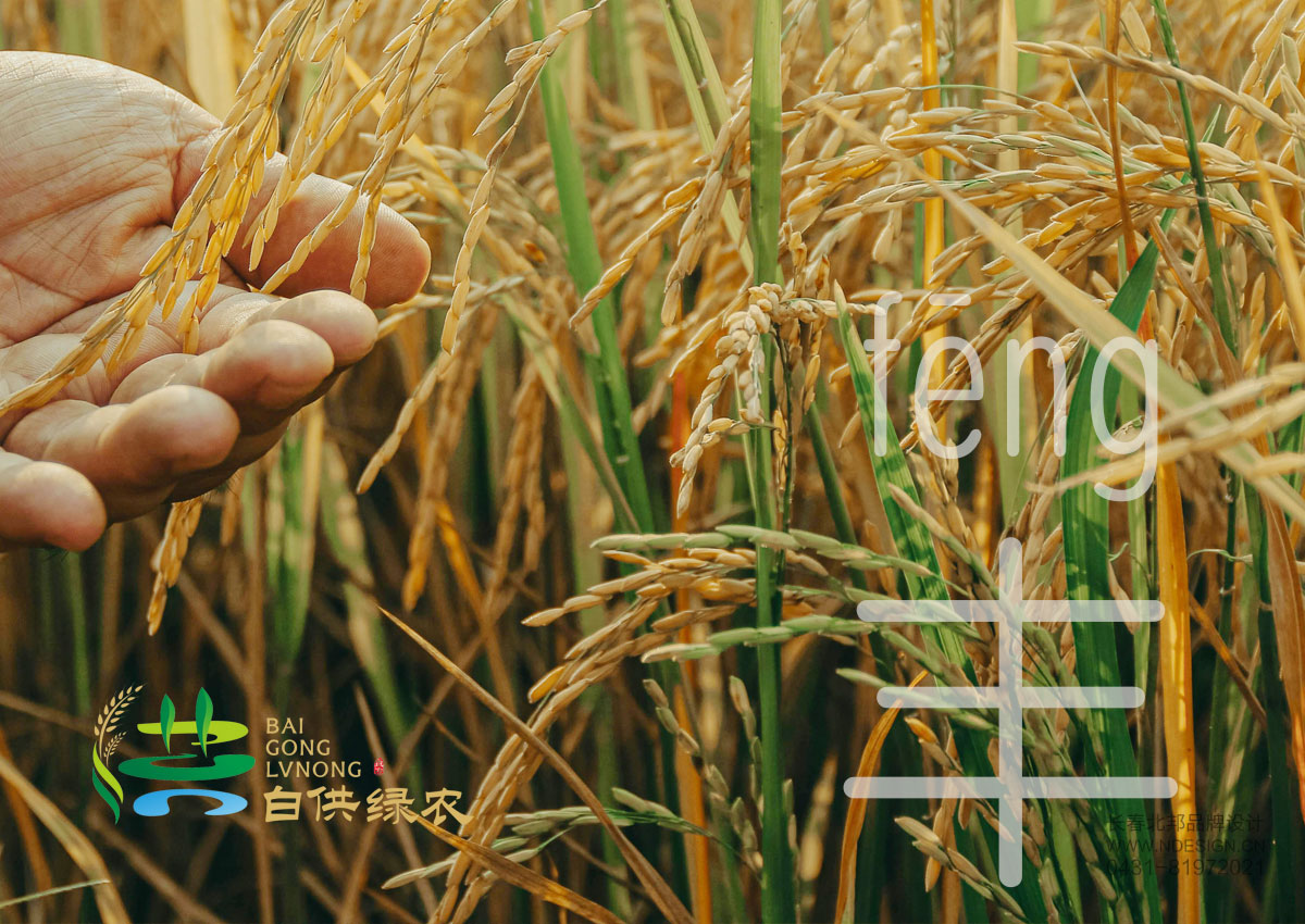 綠色品牌設計,農業(yè)品牌設計,公共品牌設計,公共品牌注冊